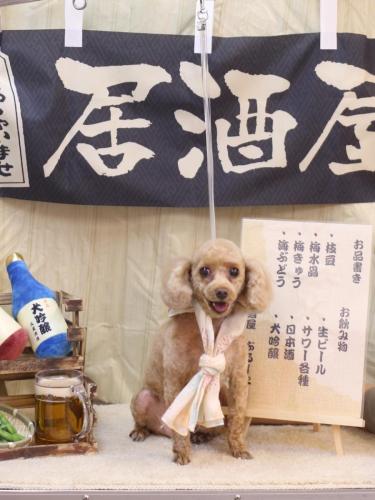 202406125バニラちゃん